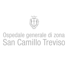 Logo San Camillo